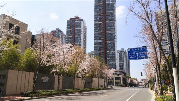 “十四五”上海公園將超千座，園林綠化行業(yè)的春天來了？