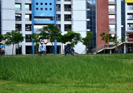 如何做好房地產(chǎn)園林綠化設(shè)計(jì)